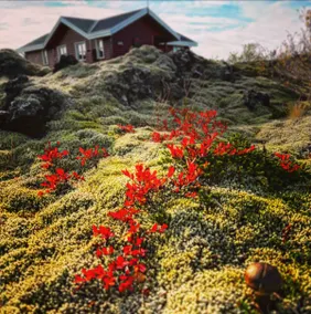 House in lava - Image 2