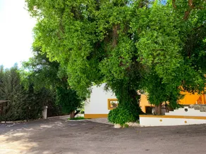CASA RURAL CORTIJO LAS HUERTAS - Image 3