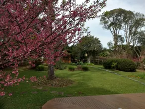 COUNTRY HOUSE IN THE SERRA CATARINENSE - Image 4