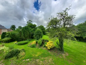 The Hamlet Suite - Image 4
