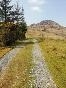 Secluded cottage with stunning views. - Image 2