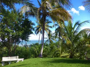Nirvana Beach Hotel - Image 4