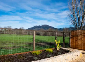 Calistoga Calm with Napa Valley views - Image 4