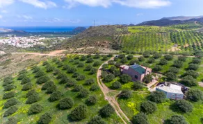 Villa in the Olive Grove - Image 2