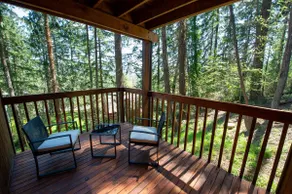 Tranquil Forested Cabin with Sauna, Home Gym, & AC - Image 3