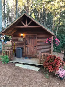 Cabin in the pines - Image 2