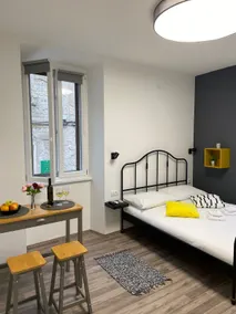 Apartments Flanaticus III - Studio in City Centre - Image 5