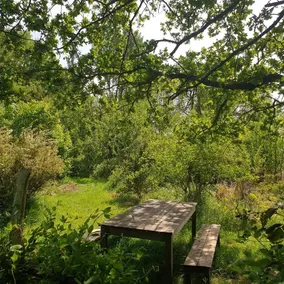 Barrel room in the countryside with kitchenette - Image 2