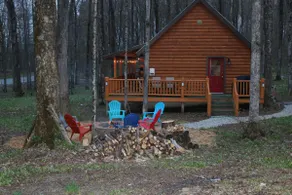 Leister Hütte im Wald - Image 2