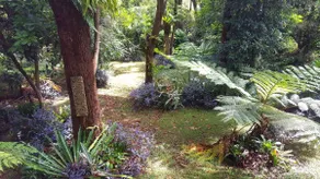 FernyBrook Cottage, Springbrook, Qld, Australia. - Image 5