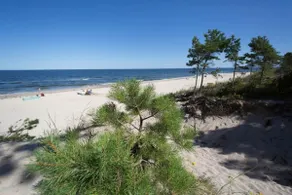 Paradise Beach Poddąbek- 1 - Image 5