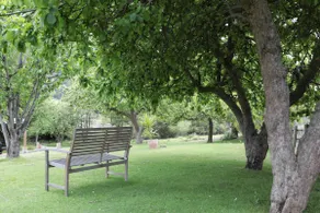 Peaceful & luxury Country Living - Image 2