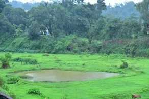 Daiwik homestay - Image 4