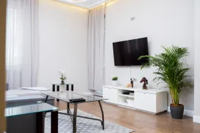 Newly renovated apartment in heart of the city - Image 5