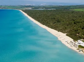 Paradise Found at Thalia's Poolside Villa - Image 4