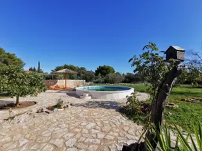 Ranch House Mavada - Image 3