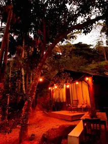 Olive chalet to connect, enjoy and love! - Image 3