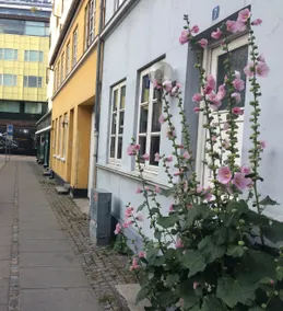 Unique, modern flat in city center - with terrasse - Image 5
