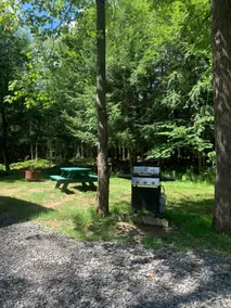 “A little cabin in the woods” - Image 2