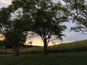 Ponytail Farmhouse - perfect place to unwind - Image 2
