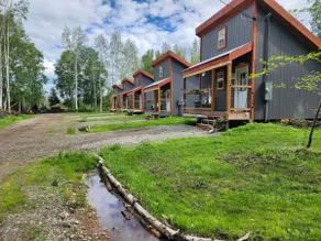 The Lazy Lynx - Frontier Village - Image 3