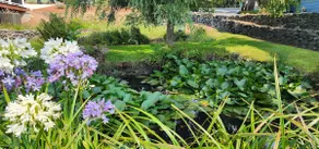 The Lily Pond House-Walk to Beach, SPA, Sleeps 6 - Image 3
