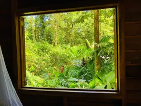 Tranquila - Jungle Cabin for Nature Retreat - Image 2
