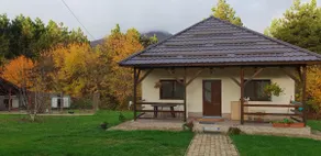 Limpedea Green house with pool Baia Mare city - Image 5