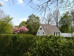Limburg Lux - cozy cottage in the Limburg hills - Image 5