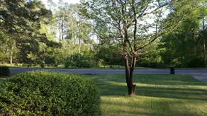 Quiet & spacious brick home near Augusta national - Image 2