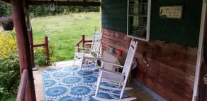 Rustic Bear Cabin w/ Hot tub - Image 4