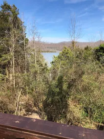Eagle's Nest Cottage on Center Hill Lake with private path to the water's edge. - Image 4