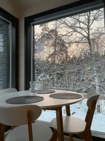 Modern villa with sauna and fireplace - Image 3