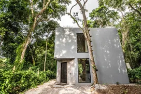Monkey Lodge - Forest House - Image 3