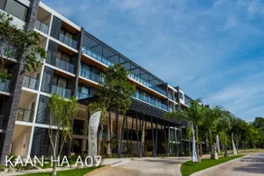 Akumal, Tulum Condo! Best Place, Bahía Principe - Image 3
