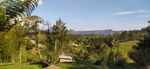 Cabin Farm in El Peñol - Image 3