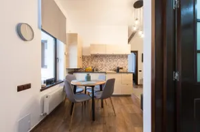 Gorgeous Brasov Flat with Patio and Mountain Views - Image 5