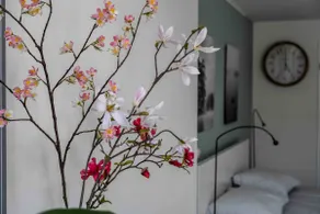 Boutique Studio with Private Garden near Amsterdam - Image 5