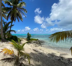Beach Condo in Great Location with Cruzan Rum Bar - Image 4