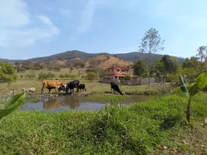 Country House (500 meters from Cachoeira) - Image 2