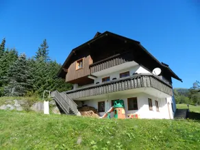 Franz - large Carinthian house on the slopes - Image 2