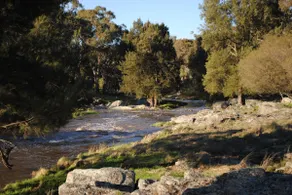 Waterloo Stockmans cottage, Glen Innes - Image 3
