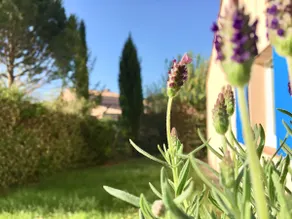 Charming Provençal Villa with Pool nearby - Image 4