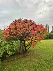 Meva'H · Serenity & large garden near vineyards - Image 4