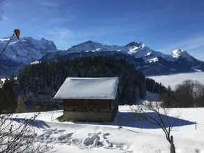Chalet Wetterhorn 2.5 room apartment - Image 4