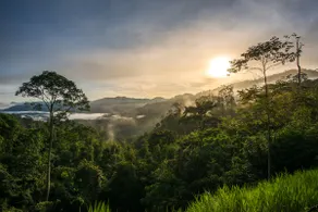 Rest. Pause. Rainforest Retreat - Image 3