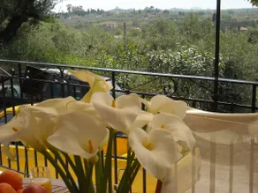 Ioannis cottage ΑΜΑ786046 - Image 5