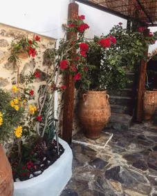 Artemis Traditional House - Image 3