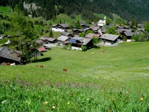 Chalet Wildhorn - Image 2