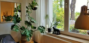 Gellért Hill Apartment - Image 5